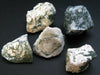 Tree Agate!! Lot of 5 Raw Moss Agate Stone From USA