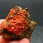 Rare Orange Crocoite Cluster From Australia - 1.4"- 16.03 Grams