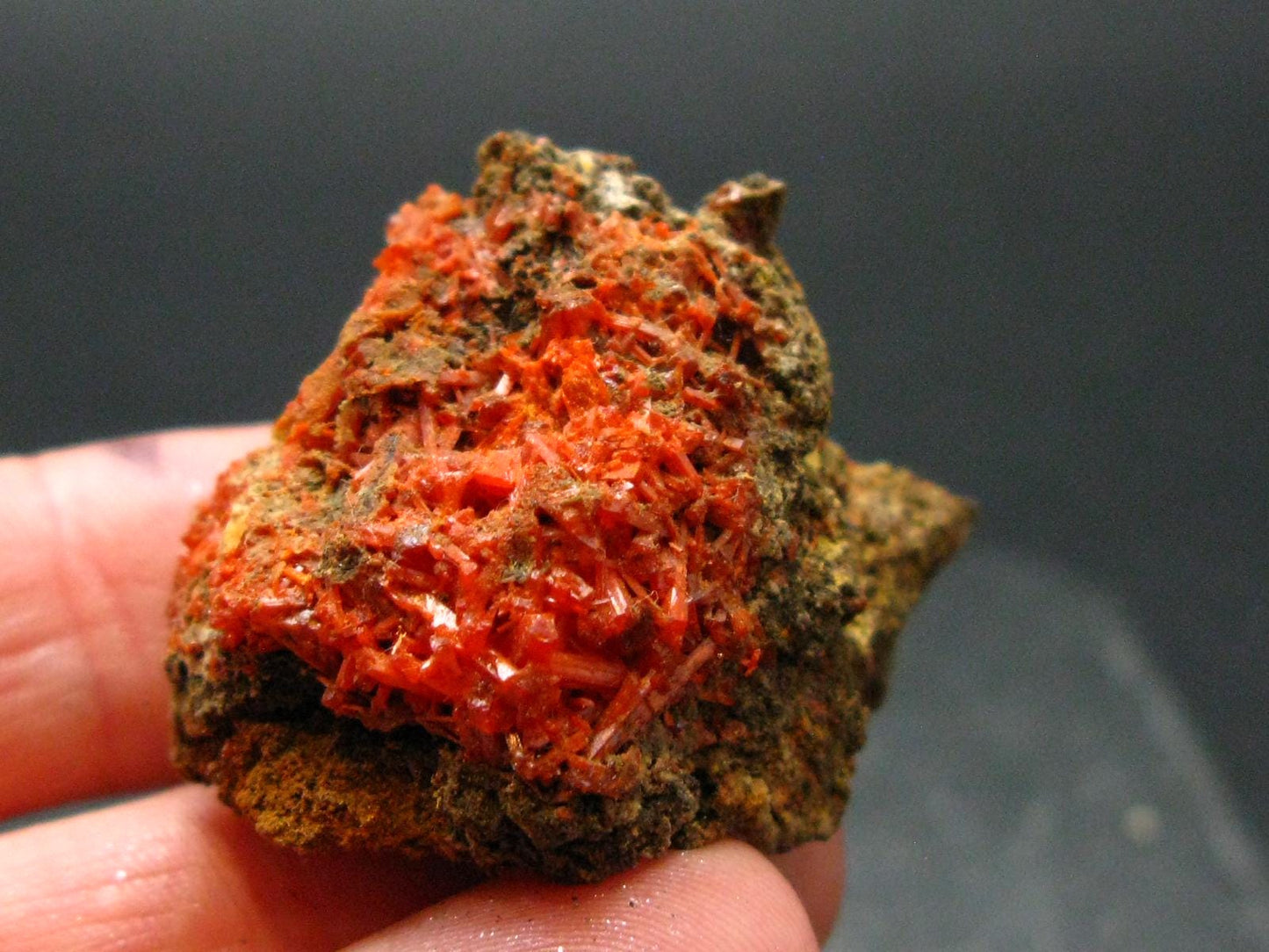 Rare Orange Crocoite Cluster From Australia - 1.4"- 16.03 Grams