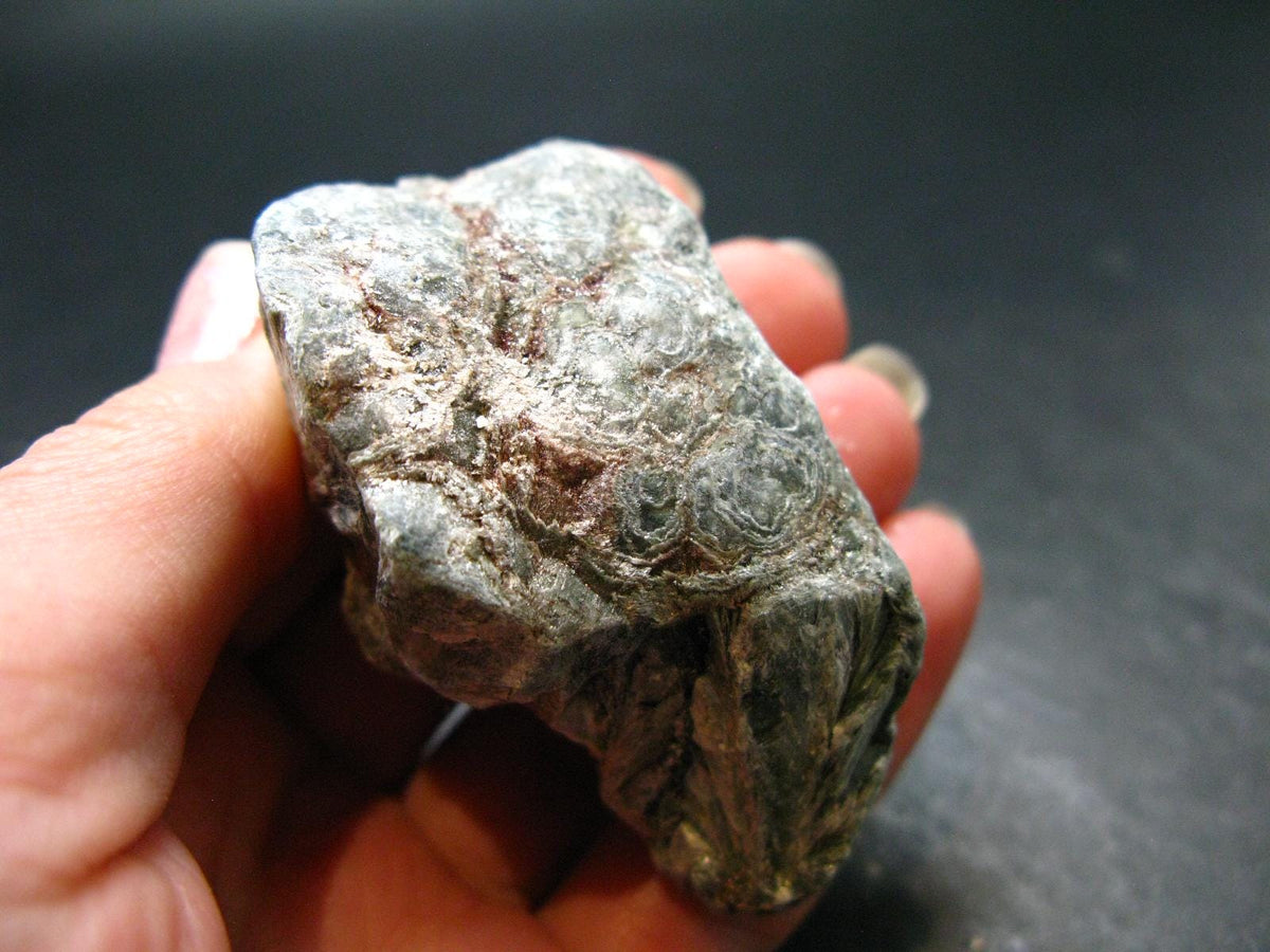 Rare Raw Polished Seraphinite Clinochlore Angels Wings Piece From Russia - 2.3"