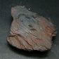 Tantalite Crystal From Brazil - 3.1" - 208.29 Grams