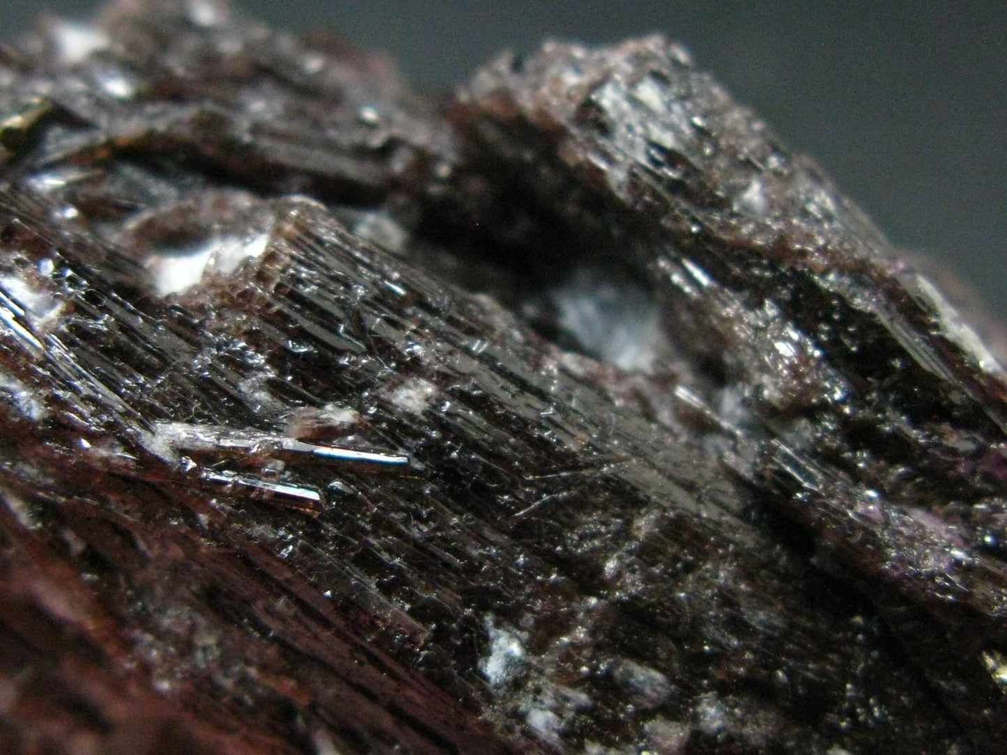 Stunning Painite Crystal with Ruby From Burma - 287 Carats - 2.0"