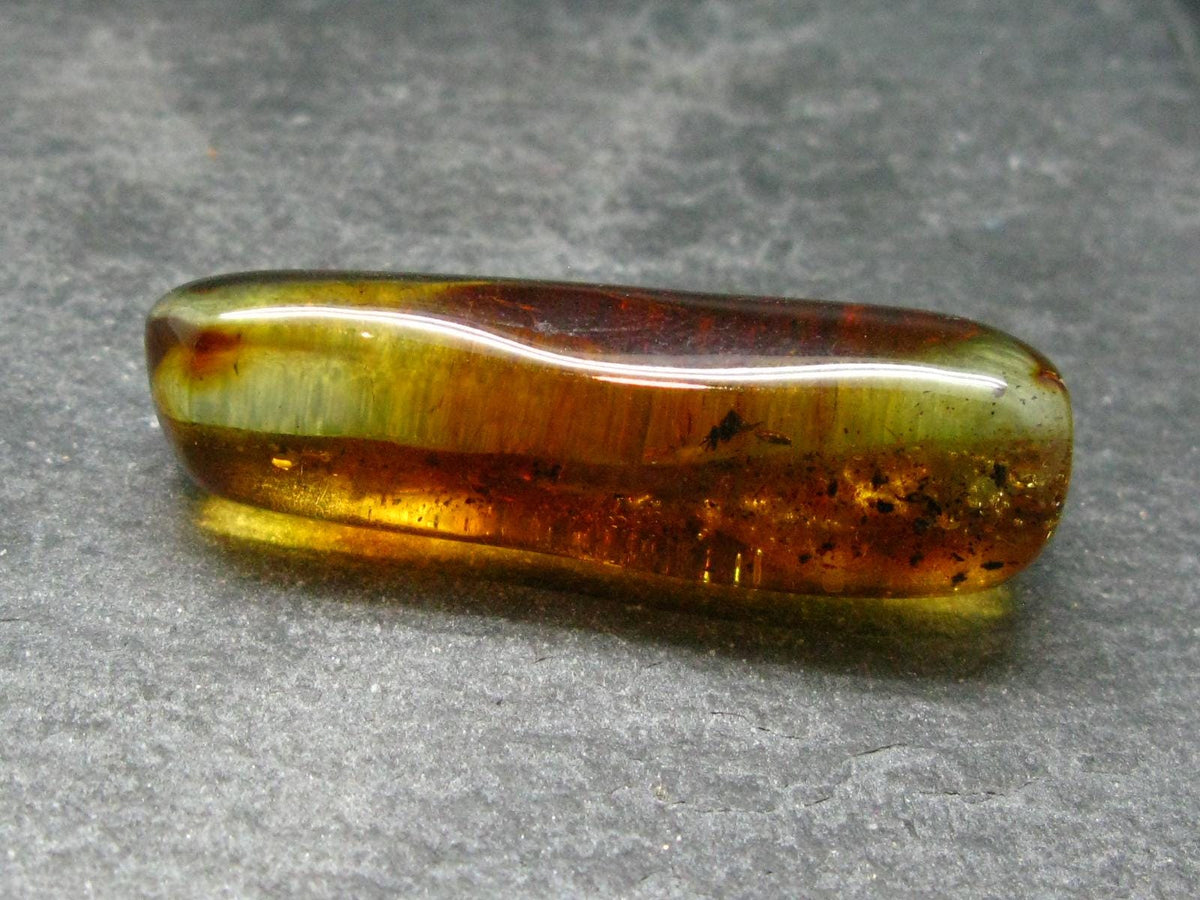 Insects in Amber Piece From Baltic Sea - 5.51 Grams - 1.8"