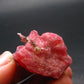 Large Rhodonite Rodonite Crystal From Brazil - 17.24 Grams - 1.2"