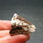 Astrophylite Astrophyllite Cluster From Russia - 1.1" - 12.46 Grams