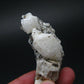 Rare Phenakite Phenacite Cluster from Madagascar - 103.23 Grams - 3.3"