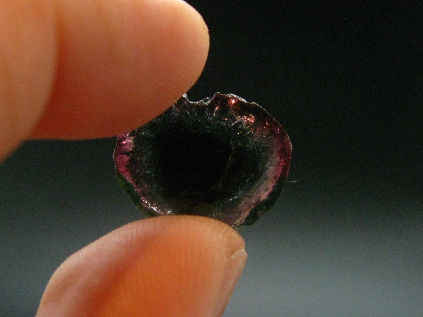 Rare Watermelon Tourmaline Crystal Slice From Brazil - 7.30 Carats