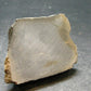 Pyritized Ammonite Fossil On Pyrite Matrix From Russia 150 MYO - 1.4" - 56.69 Grams