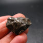 Sikhote Alin Meteorite From Russia - 15.0 Grams - 1.0"