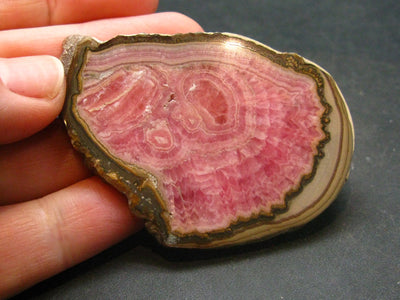 Rhodochrosite Stalactite Slab From Argentina - 2.3" - 25.81 Grams