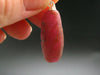 Rare Ruby Crystal Silver Pendant from India - 1.3"