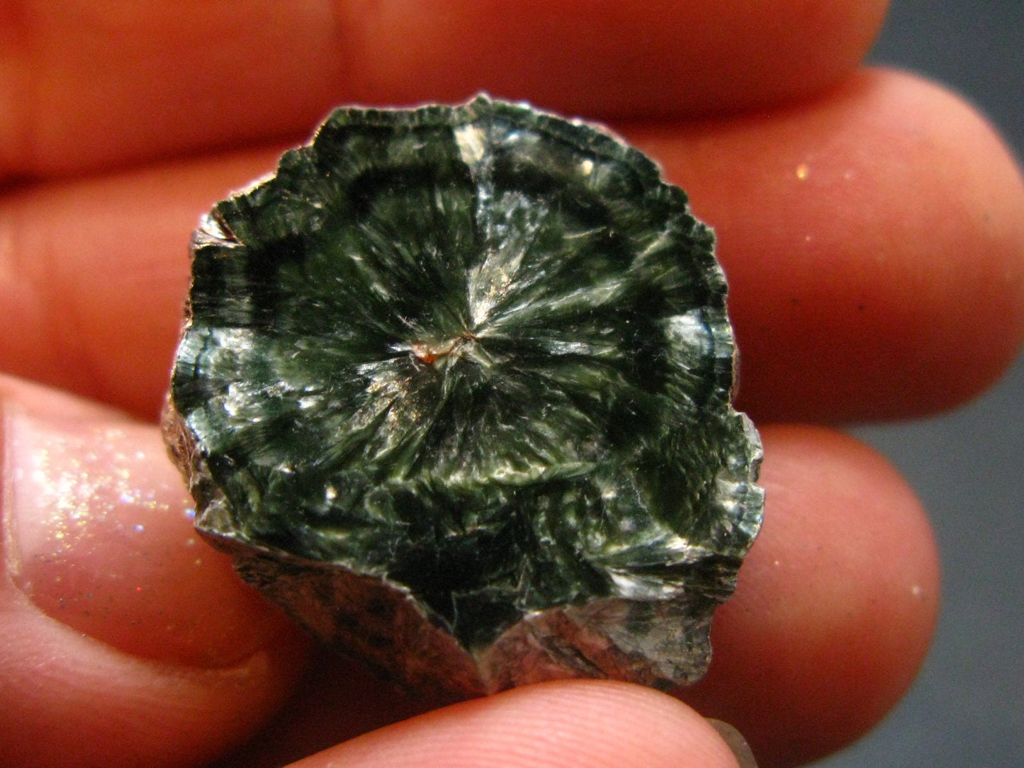 Nice Polished Seraphinite Clinochlore Stalactite From Russia - 0.9" - 6.57 Grams