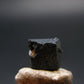 Large Brookite Crystal From Arkansas - 0.91 Grams - 7 mm