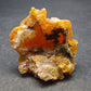 Wulfenite Cluster From Namibia - 1.2"