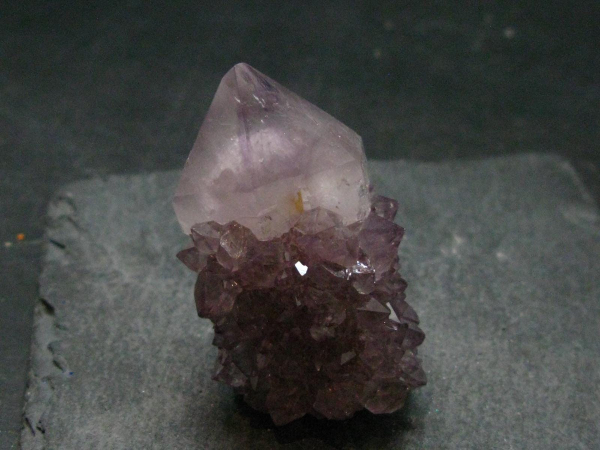 Fine Cactus Amethyst Spirit Quartz Crystal From South Africa - 1.8" - 46.57 Grams
