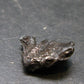 Sikhote Alin Meteorite From Russia - 2.40 Grams - 0.6"