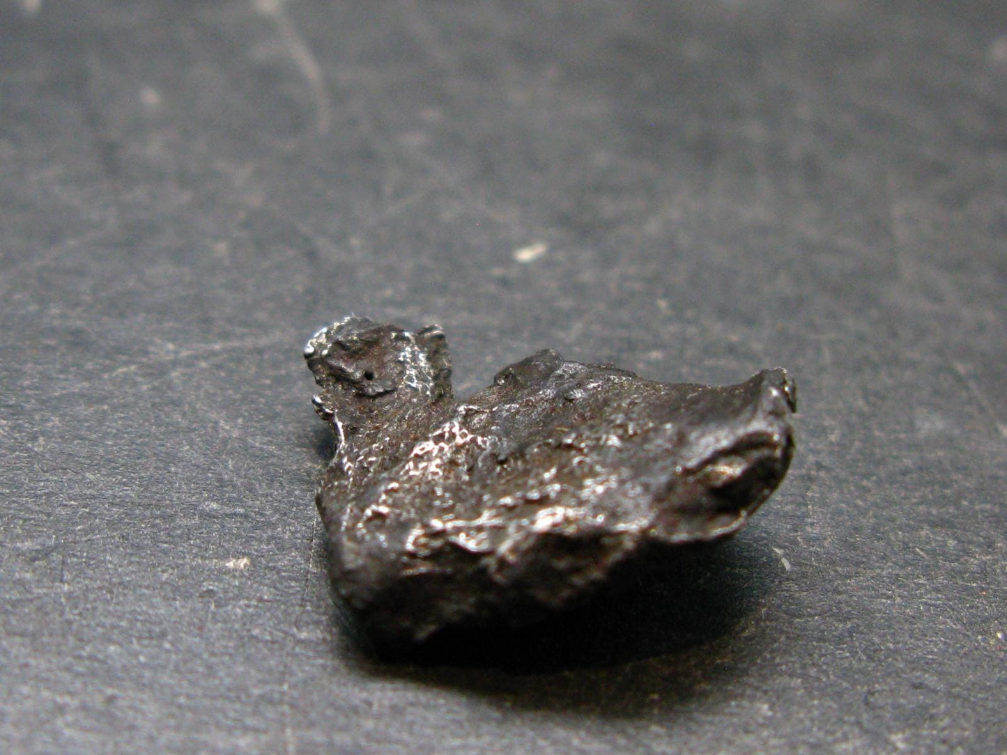 Sikhote Alin Meteorite From Russia - 2.40 Grams - 0.6"