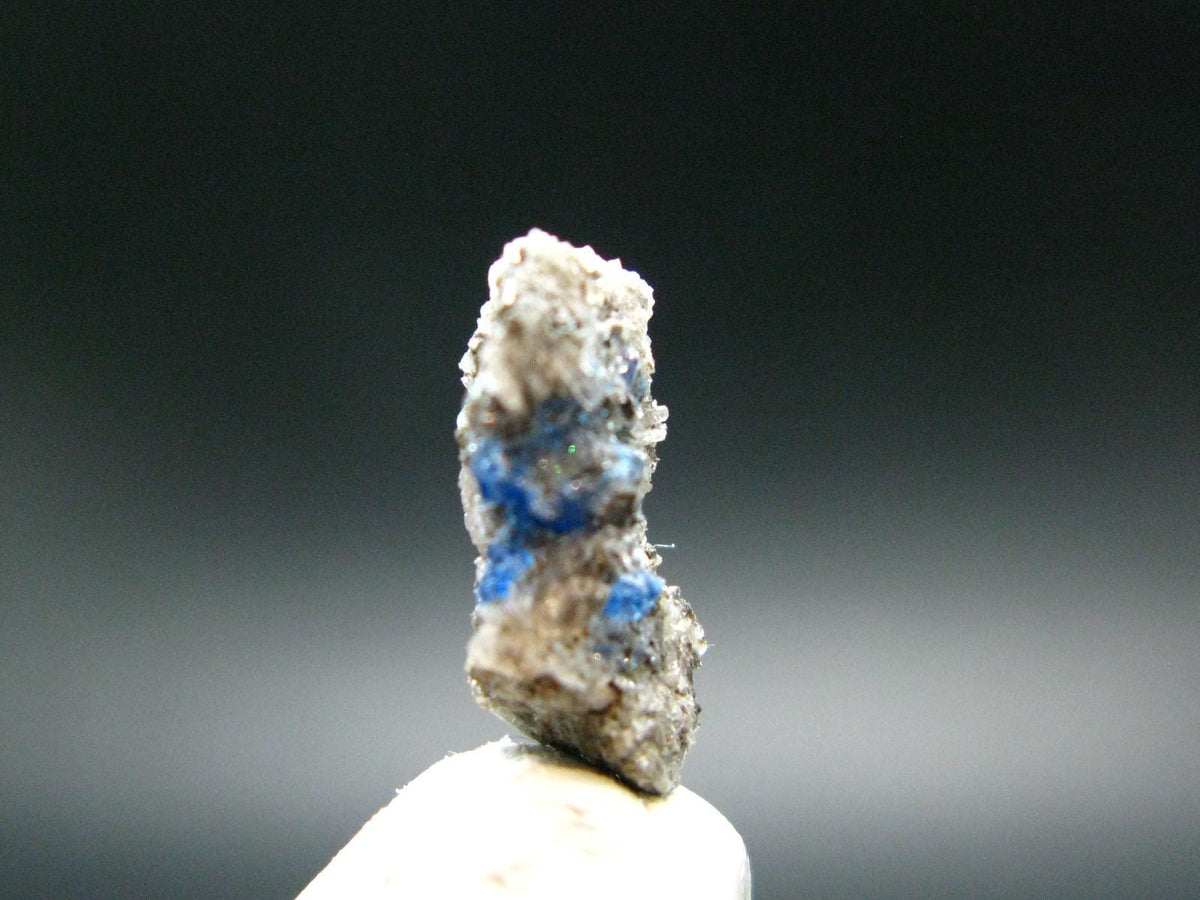 Hauyne Cluster From Germany - 0.6" - 0.60 Grams