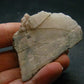 Phenakite Phenacite Polished Slice From Brazil - 46.61 Grams - 2.4"