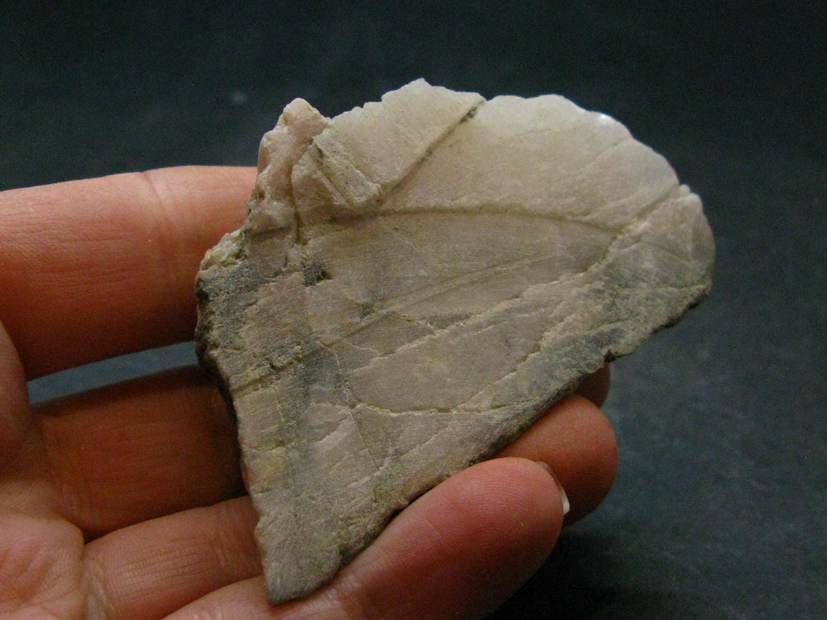 Phenakite Phenacite Polished Slice From Brazil - 46.61 Grams - 2.4"