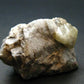 Rhodizite Rhodozite Cluster From Madagascar - 1.8"