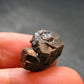 Mangano Tantalite Crystal From Brazil - 0.7" - 27.60 Carats