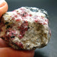 Rare Red Eudialyte from Quebec, Canada - 2.2" - 92.29 Grams