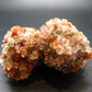 Orange Aragonite Cluster From Morocco - 3.1"