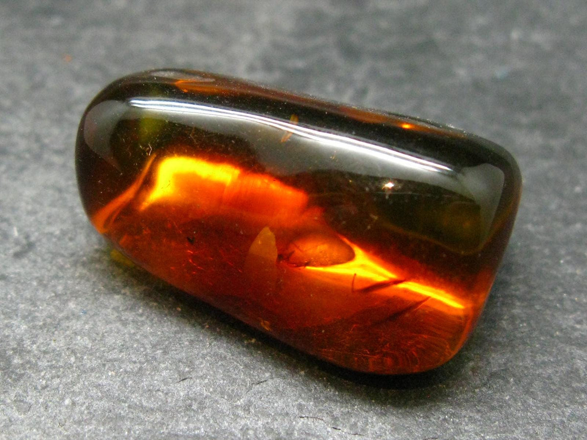 Insects in Amber Piece From Baltic Sea - 5.78 Grams - 1.2"