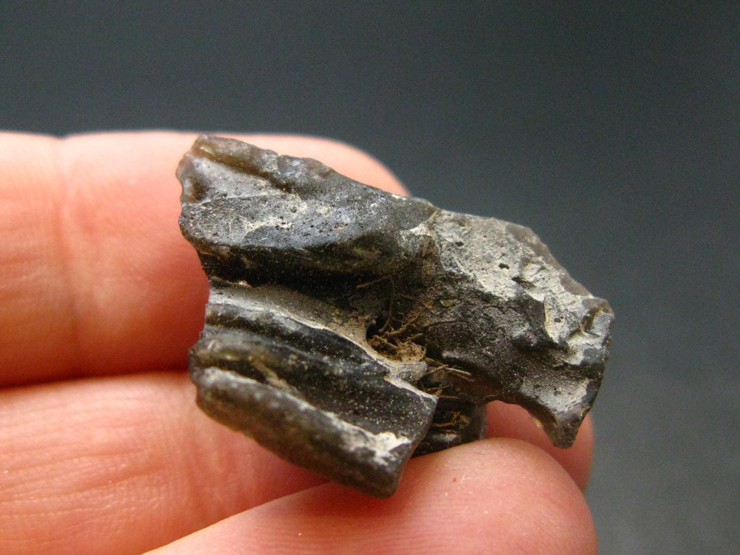 Meteor Splash Glass!! Fabulous Asymmetrical Rare Darwin Glass Tektite Pleistocene Piece From Australia - 1.0"