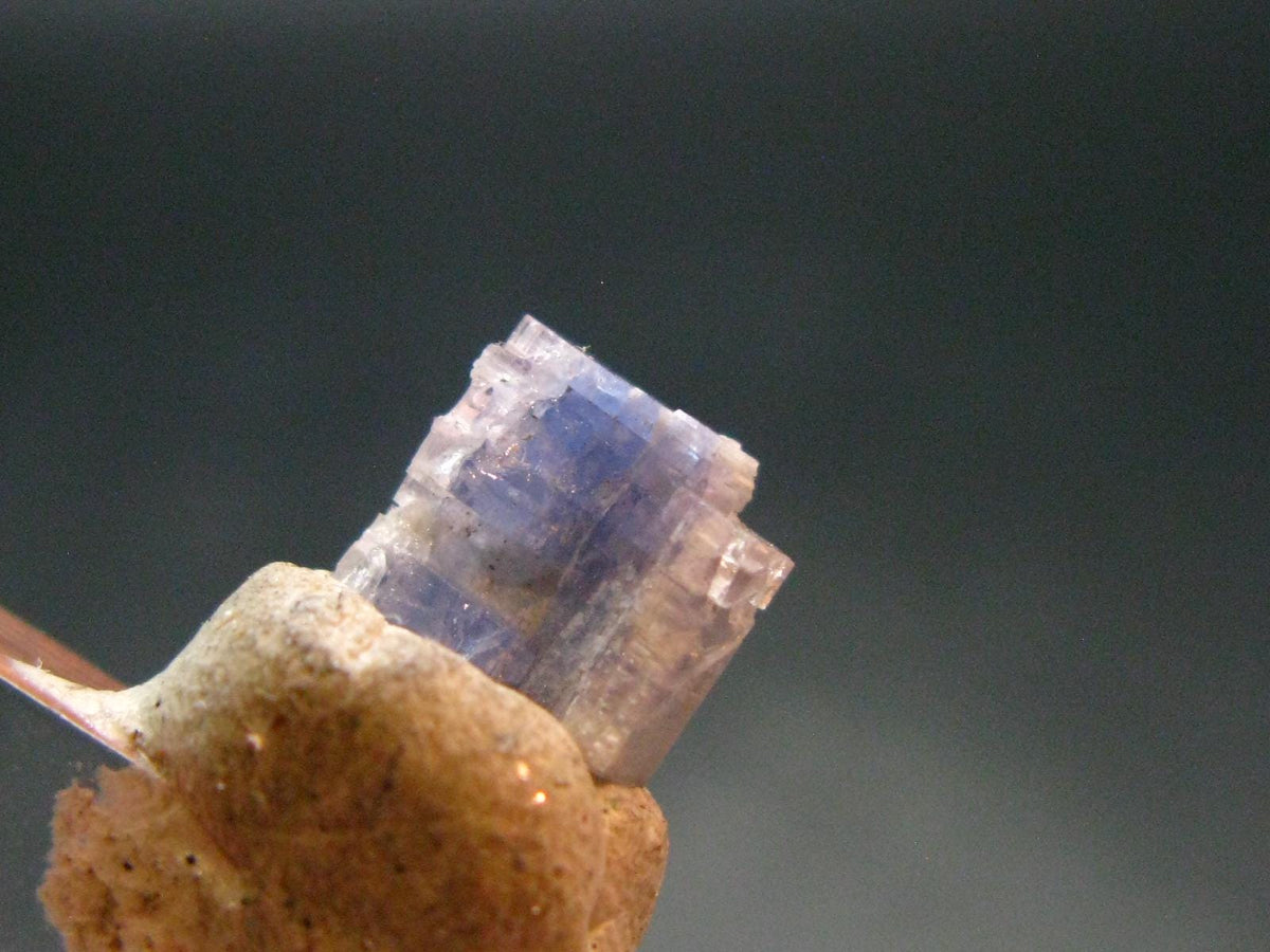 Fine Rare Carletonite Crystal From Mt. St. Hilaire Canada - 0.3" - 0.25 Grams