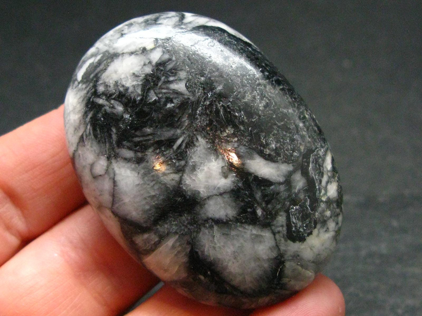 Pinolite Polished Stone from Austria - 1.9"