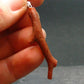Rare Natural Red Coral Silver Pendant From Italy - 1.9" - 1.72 Grams