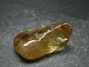 Nice Untreated Unheated Citrine Tumbled Stone from Zambia - 63.95 Carats - 1.2"
