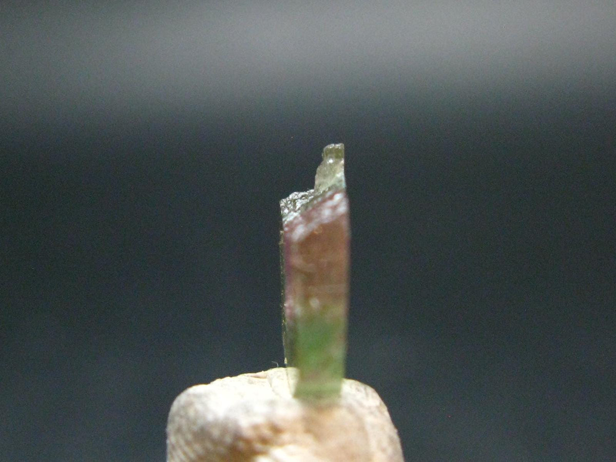 Rare Watermelon Tourmaline Crystal Slice From Brazil - 2.70 Carats