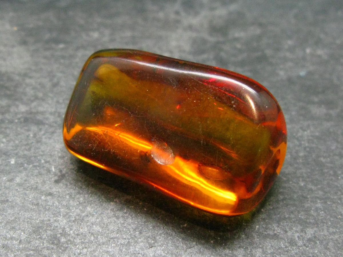 Insects in Amber Piece From Baltic Sea - 5.78 Grams - 1.2"