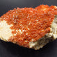 Large Vanadinite Cluster From Morocco - 2.7"