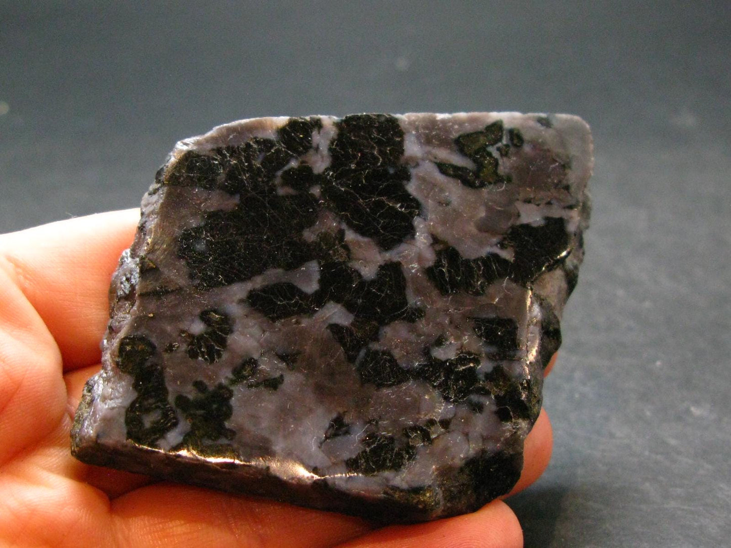 Gabbro Mystic Merlinite Slab From Indian Ocean - 9.9" - 70.20 Grams