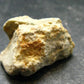 Rare Demantoid Garnet Cluster from Madagascar - 1.1" - 8.71 Grams