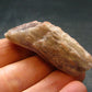 Cacoxenite Amethyst Crystal From Brazil - 2.0"