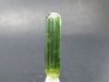 Green Tourmaline Crystal From Brazil - 1.7" - 36 Carats