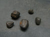 Lot of 5 Chelyabinsk Chondrite Meteorite Pieces From Russia