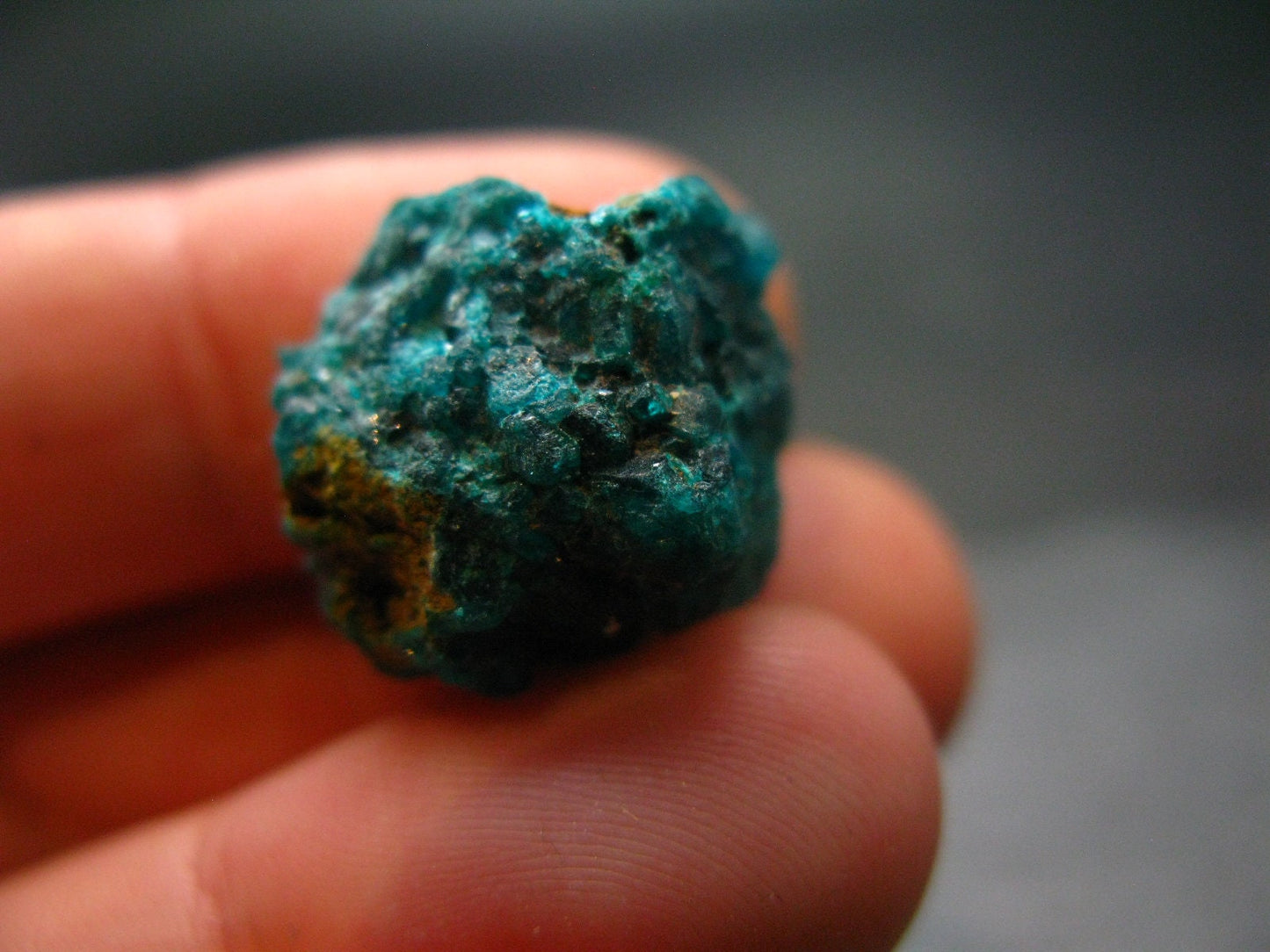 Very Nice Dioptase Cluster from Congo - 0.7" - 5.05 Grams