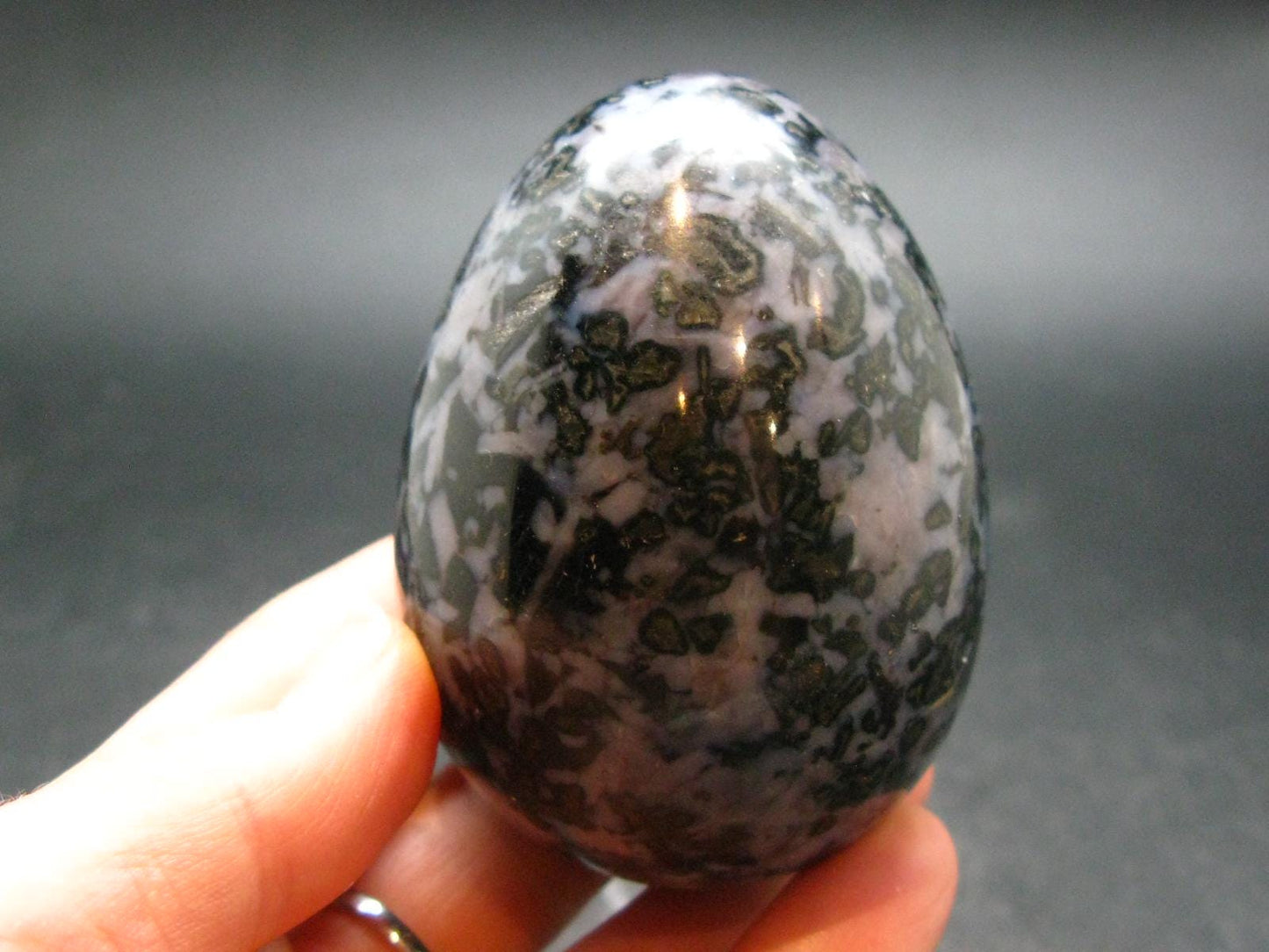 Rare Gabbro Mystic Merlinite Egg from Indian Ocean - 2.8" - 246.45 Grams