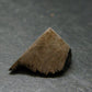 Large Gibeon Meteorite From Namibia - 0.8" - 6.93 Grams