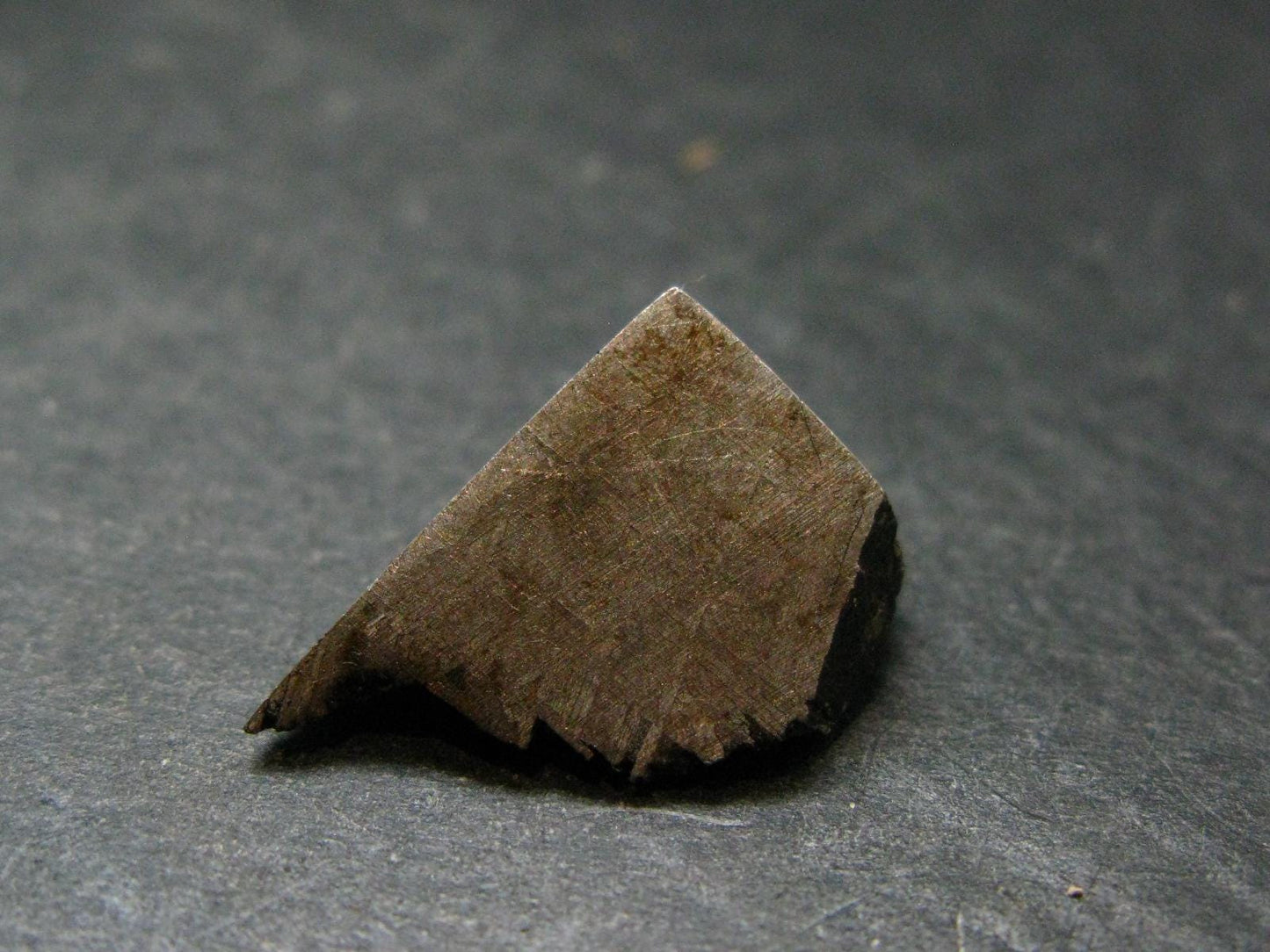 Large Gibeon Meteorite From Namibia - 0.8" - 6.93 Grams