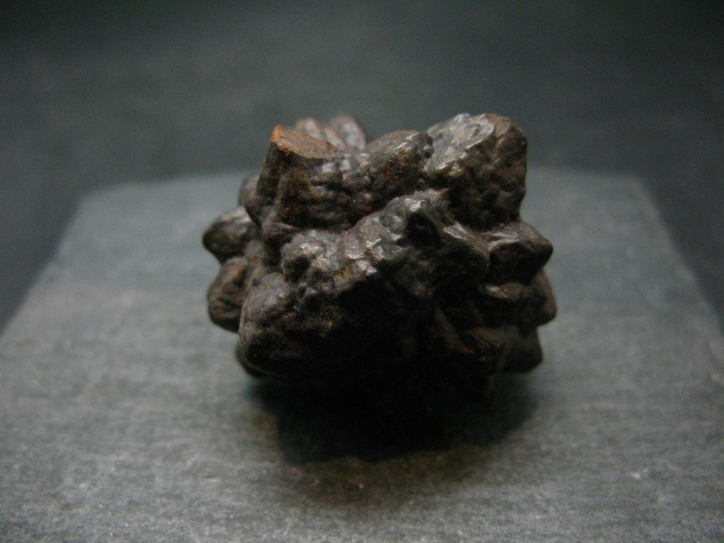 Very rare Z-Stone (Limonite after Marcasite) from Sahara Dessert, Egypt - 1.3" - 51.76 Grams