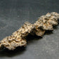 Large Fulgurite Lightning Rock From Sahara Desert - 4.2" - 10.65 Grams