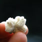 Rare Phenakite Phenacite On Feldspar Cluster from Colorado - 0.7" - 2.43 Grams