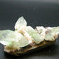 Green Apophylite & Stilbite Cluster From India - 5.3" - 313.62 Grams